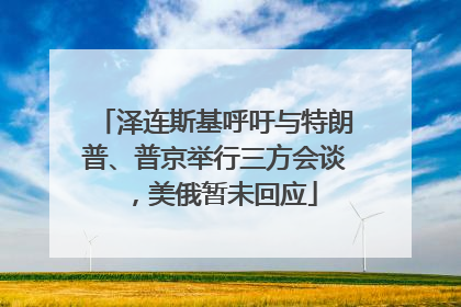 泽连斯基呼吁与特朗普、普京举行三方会谈，美俄暂未回应