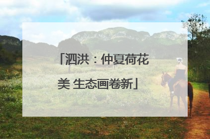 泗洪：仲夏荷花美 生态画卷新