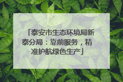泰安市生态环境局新泰分局：靠前服务，精准护航绿色生产