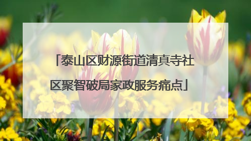 泰山区财源街道清真寺社区聚智破局家政服务痛点