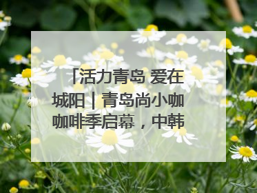 活力青岛 爱在城阳｜青岛尚小咖咖啡季启幕，中韩消费新场景点燃夏日热情