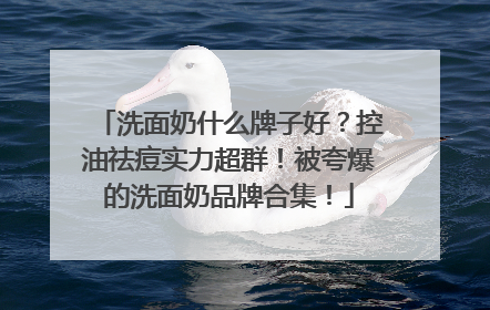 洗面奶什么牌子好？控油祛痘实力超群！被夸爆的洗面奶品牌合集！