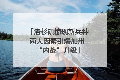 洛杉矶惊现新兵种 两大因素引爆加州“内战”升级