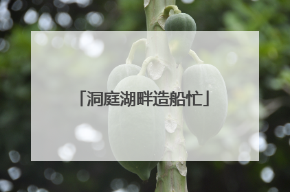 洞庭湖畔造船忙