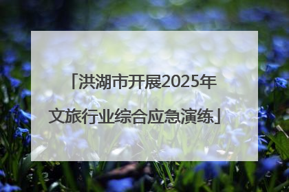 洪湖市开展2025年文旅行业综合应急演练