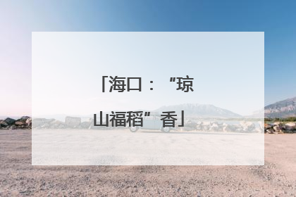 海口：“琼山福稻”香