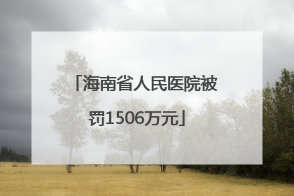海南省人民医院被罚1506万元