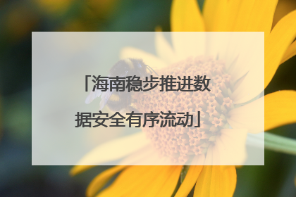 海南稳步推进数据安全有序流动