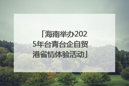 海南举办2025年台青台企自贸港省情体验活动