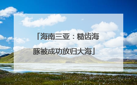 海南三亚：糙齿海豚被成功放归大海