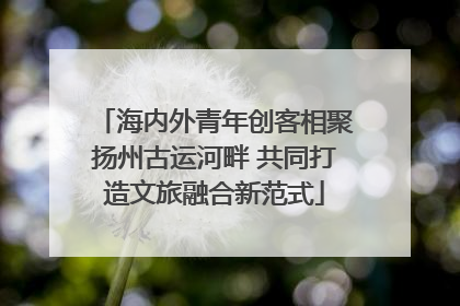 海内外青年创客相聚扬州古运河畔 共同打造文旅融合新范式