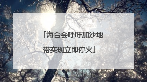 海合会呼吁加沙地带实现立即停火