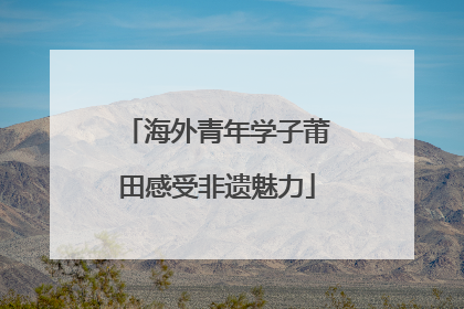 海外青年学子莆田感受非遗魅力