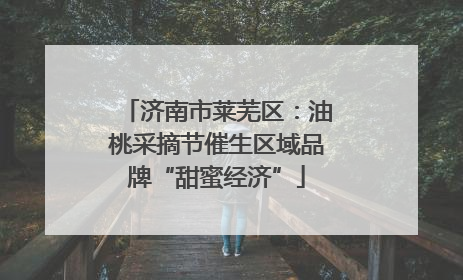 济南市莱芜区：油桃采摘节催生区域品牌“甜蜜经济”
