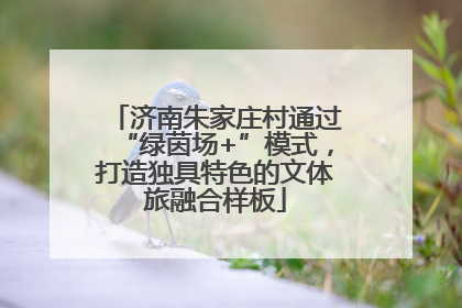 济南朱家庄村通过“绿茵场+”模式，打造独具特色的文体旅融合样板
