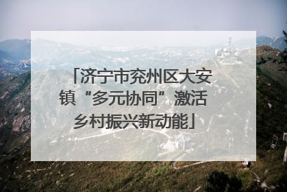 济宁市兖州区大安镇“多元协同”激活乡村振兴新动能