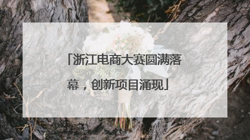 浙江电商大赛圆满落幕，创新项目涌现