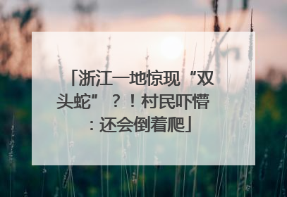 浙江一地惊现“双头蛇”？！村民吓懵：还会倒着爬