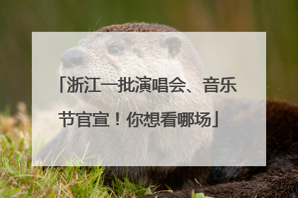 浙江一批演唱会、音乐节官宣！你想看哪场