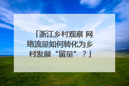 浙江乡村观察 网络流量如何转化为乡村发展“留量”？