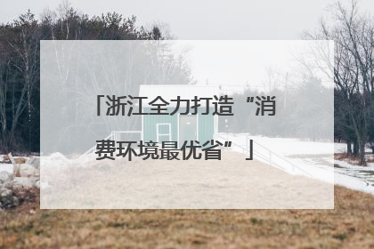 浙江全力打造“消费环境最优省”