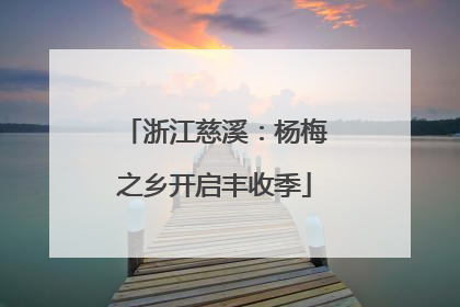 浙江慈溪：杨梅之乡开启丰收季
