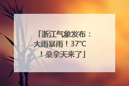 浙江气象发布：大雨暴雨！37℃！桑拿天来了