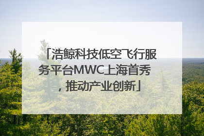 浩鲸科技低空飞行服务平台MWC上海首秀，推动产业创新