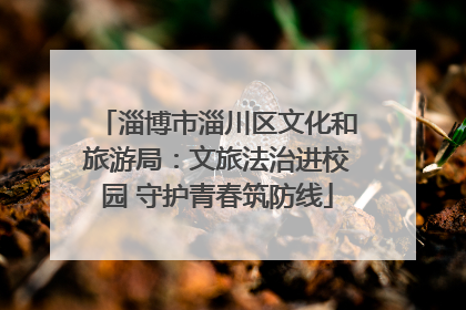 淄博市淄川区文化和旅游局：文旅法治进校园 守护青春筑防线