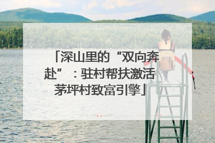 深山里的“双向奔赴”：驻村帮扶激活茅坪村致富引擎