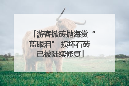 游客掀砖抛海赏“蓝眼泪” 损坏石砖已被陆续修复