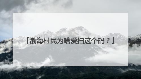 渤海村民为啥爱扫这个码？