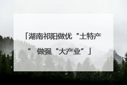 湖南祁阳做优“土特产” 做强“大产业”