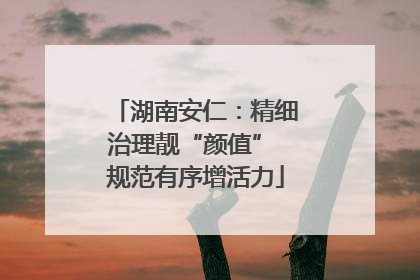 湖南安仁：精细治理靓“颜值” 规范有序增活力