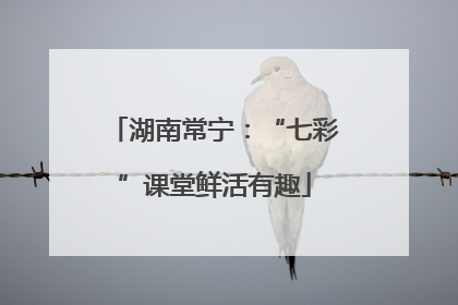 湖南常宁：“七彩”课堂鲜活有趣