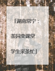 湖南常宁：茶园变课堂 学生采茶忙