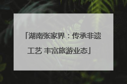 湖南张家界：传承非遗工艺 丰富旅游业态