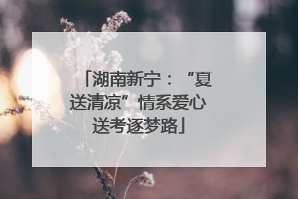 湖南新宁：“夏送清凉”情系爱心送考逐梦路