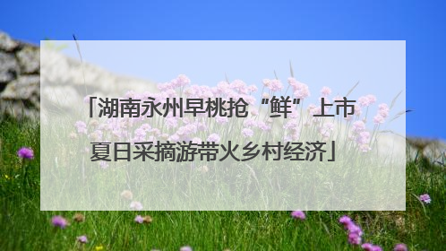 湖南永州早桃抢“鲜”上市 夏日采摘游带火乡村经济