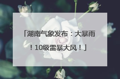 湖南气象发布：大暴雨！10级雷暴大风！
