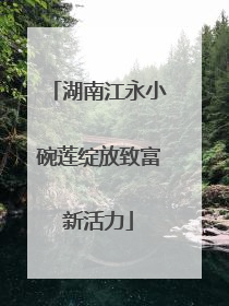 湖南江永小碗莲绽放致富新活力