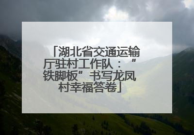 湖北省交通运输厅驻村工作队：“铁脚板”书写龙凤村幸福答卷