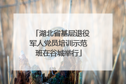 湖北省基层退役军人党员培训示范班在谷城举行
