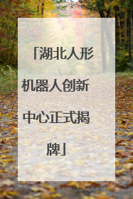湖北人形机器人创新中心正式揭牌