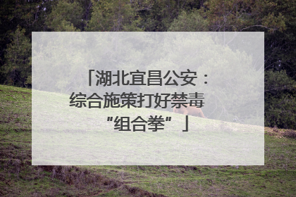湖北宜昌公安：综合施策打好禁毒“组合拳”