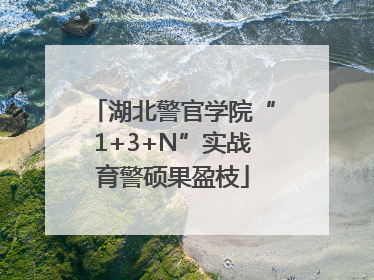 湖北警官学院“1+3+N”实战育警硕果盈枝