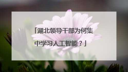 湖北领导干部为何集中学习人工智能？