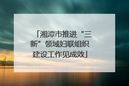 湘潭市推进“三新”领域妇联组织建设工作见成效