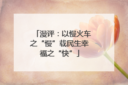 漫评：以慢火车之“慢”载民生幸福之“快”