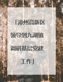 漳州高新区领导到九湖镇调研基层党建工作